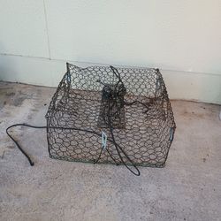 Crab Trap