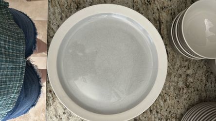 Crate and Barrel dinner plates