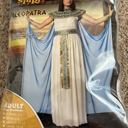 halloween costume 