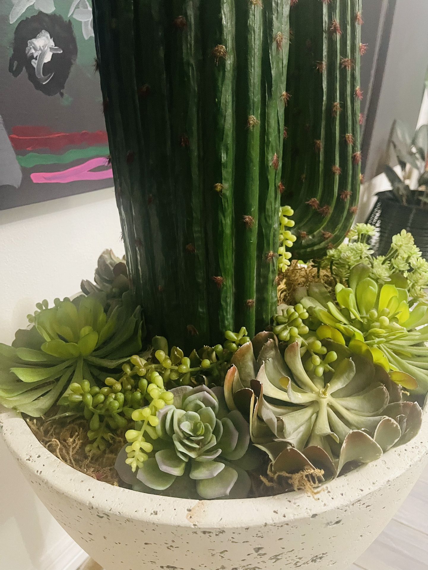 Plant, Faux Cactus With Succulent. Some Cracks in Pot And Ine Leg Needs Fixing 