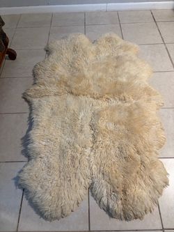 Beautiful rug