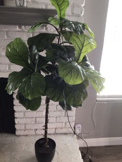 Threshold Fiddle Tree