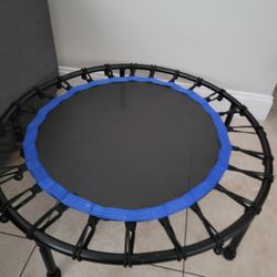 Mini Trampoline 