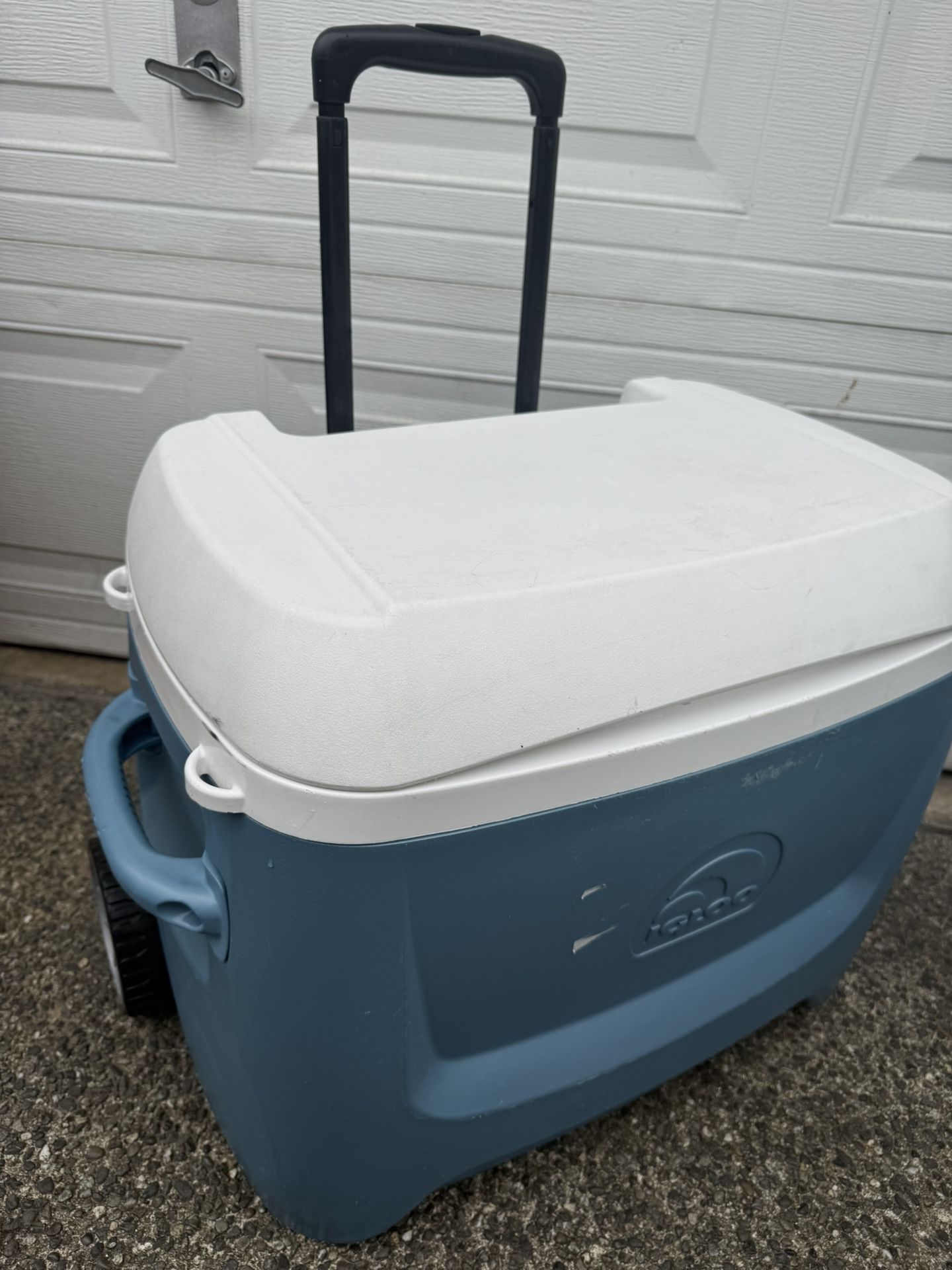 Large Cooler 