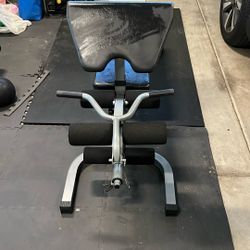 Bench With Preacher Curl/leg Extension Attachments