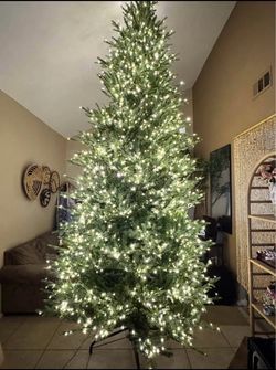 12 ft. Grand Duchess Twinkling Balsam Fir LED Pre-Lit Artificial Christmas Tree