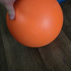 10 Inch Hard Plastic Indestructible Dog Ball