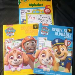 Paw Patrol & Crayola Preschool Workbook Lot – Alphabet, Colors & Shapes + New