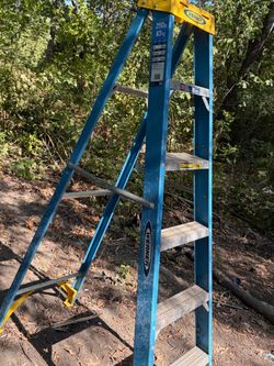 Werner 6’ Aluminum Step Ladder – 250 lb Capacity – Heavy Duty – $50 OBO