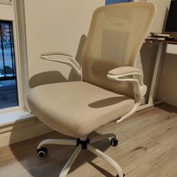 Ergonomic Office Chair
