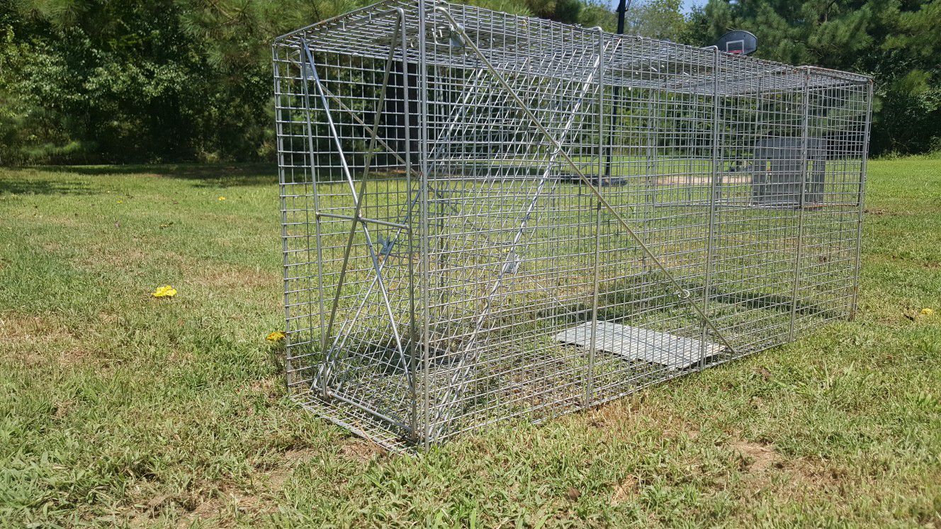 Fox and coyote live trap