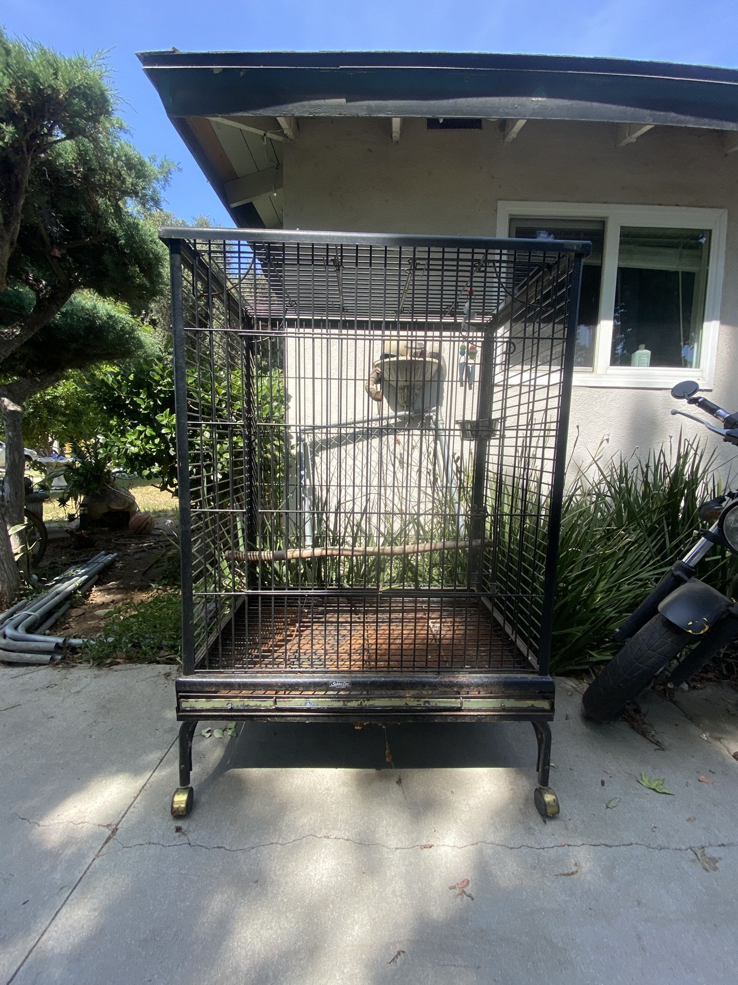 4’ft Birdcage