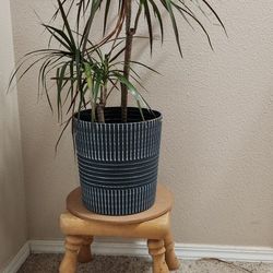 Small Plant Stand