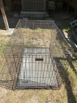 Dog Cage