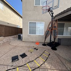 Basketball 