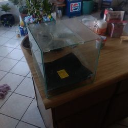 Fish Tank/ Aquarium 