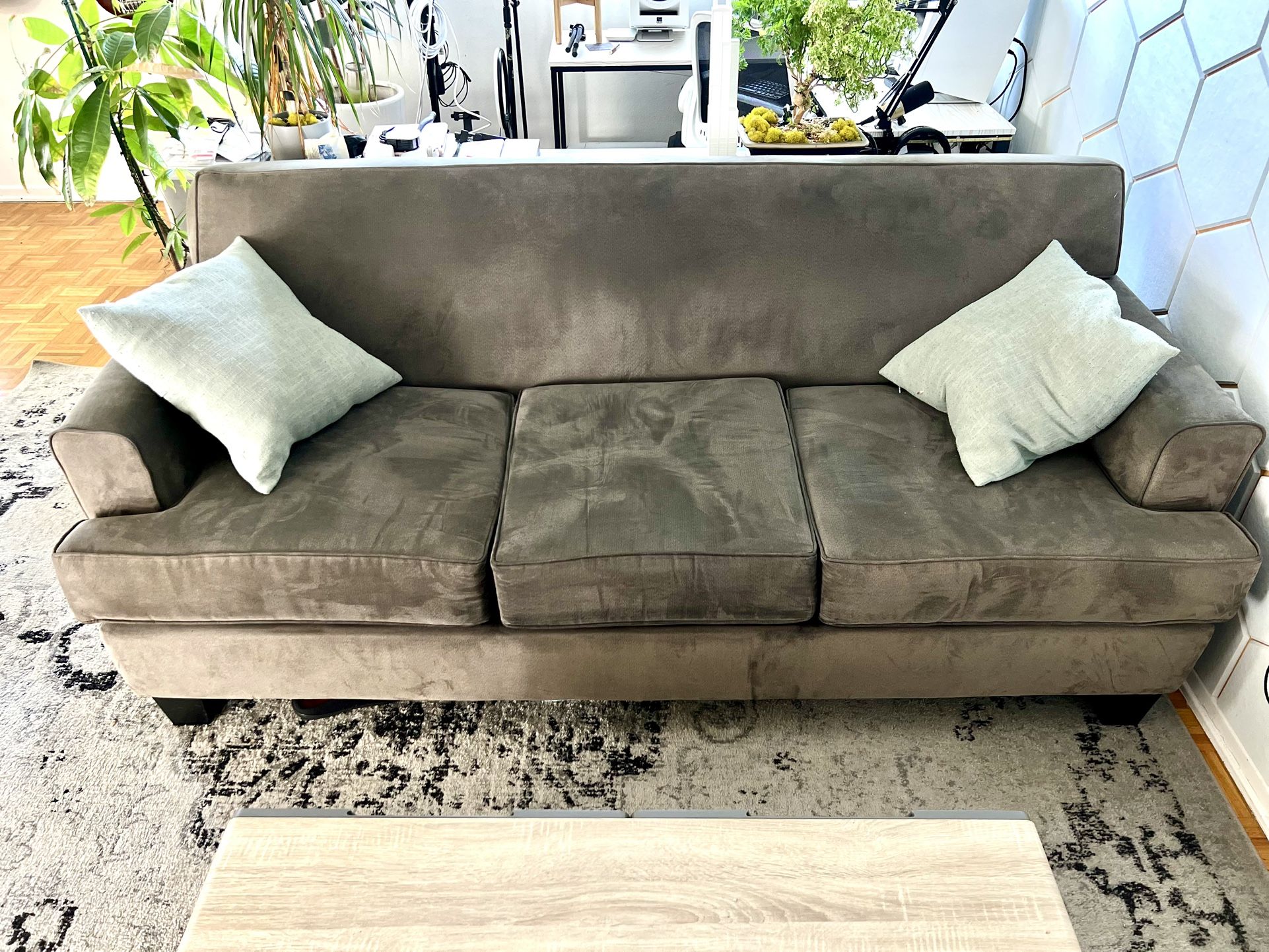 Living Spaces Sofa:Couch: in great condition!