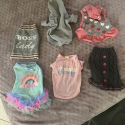 French Bulldog Outfits