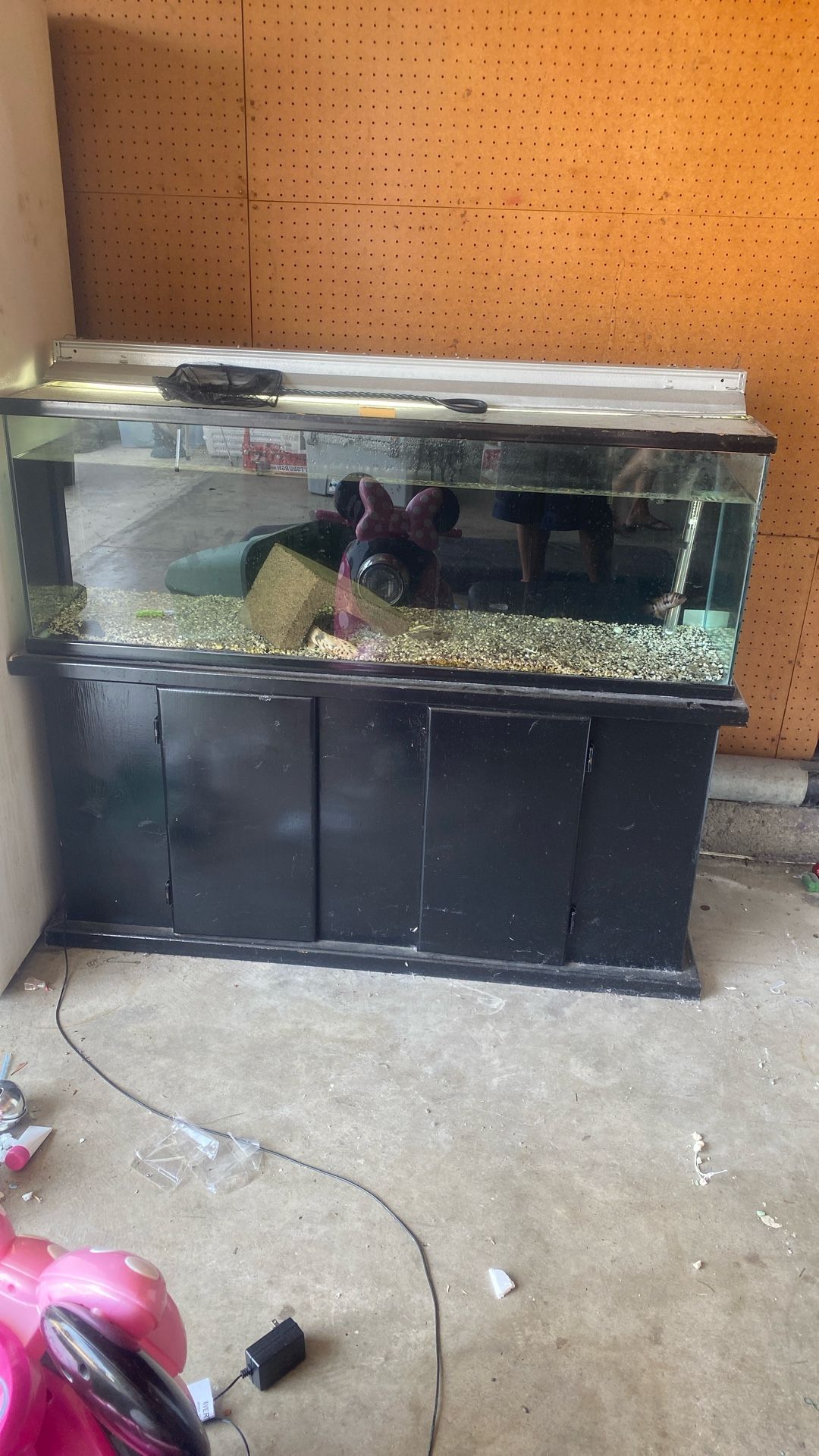 60 Gal Fish Tank , Stand, Light, Filter