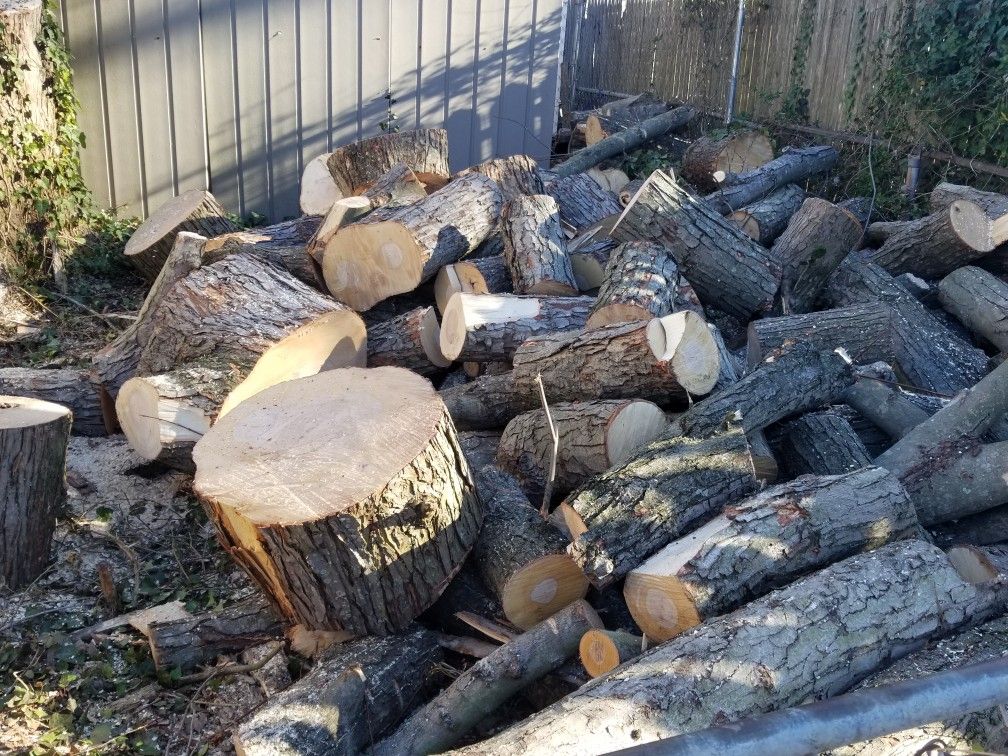 Oak firewood for sale cut and seasoned $175 core