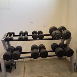 Dumbbells With Stand 