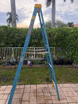Werner Fiberglass Step Ladder