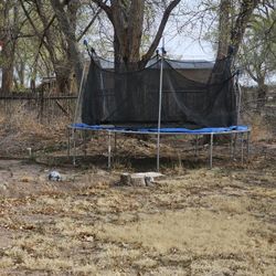 Trampoline 