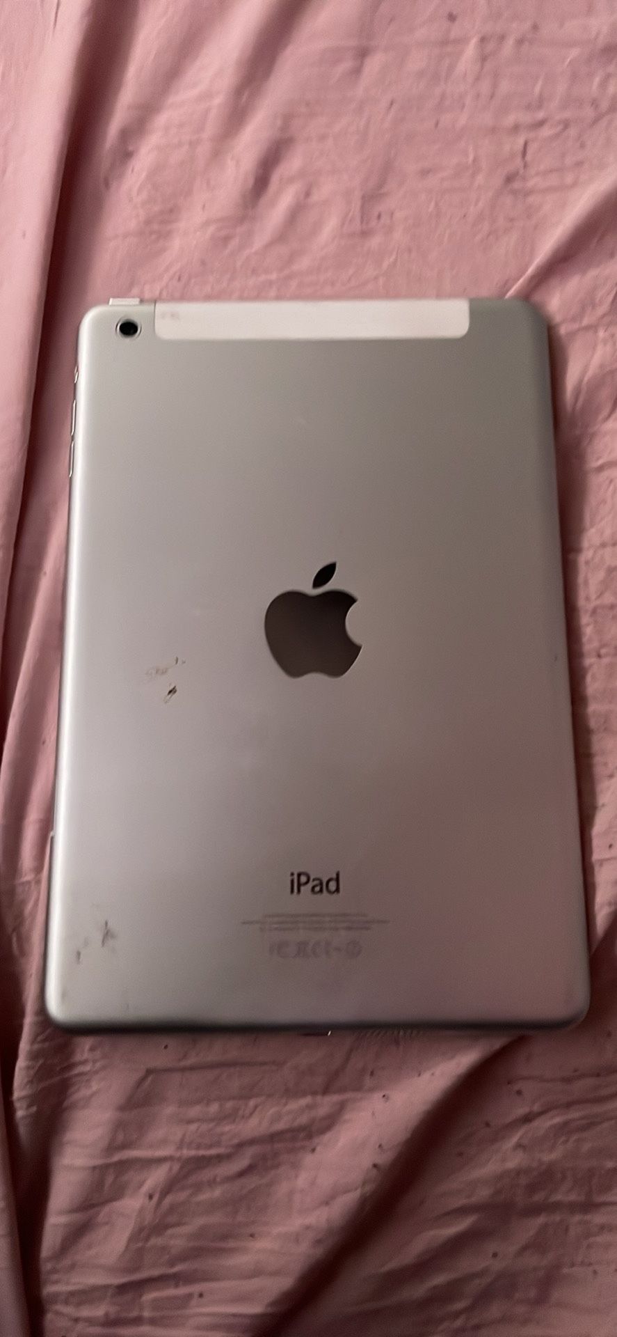 Apple iPad