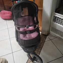 Stroller Dog 