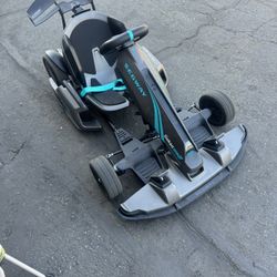 Segway Go Cart pro 2