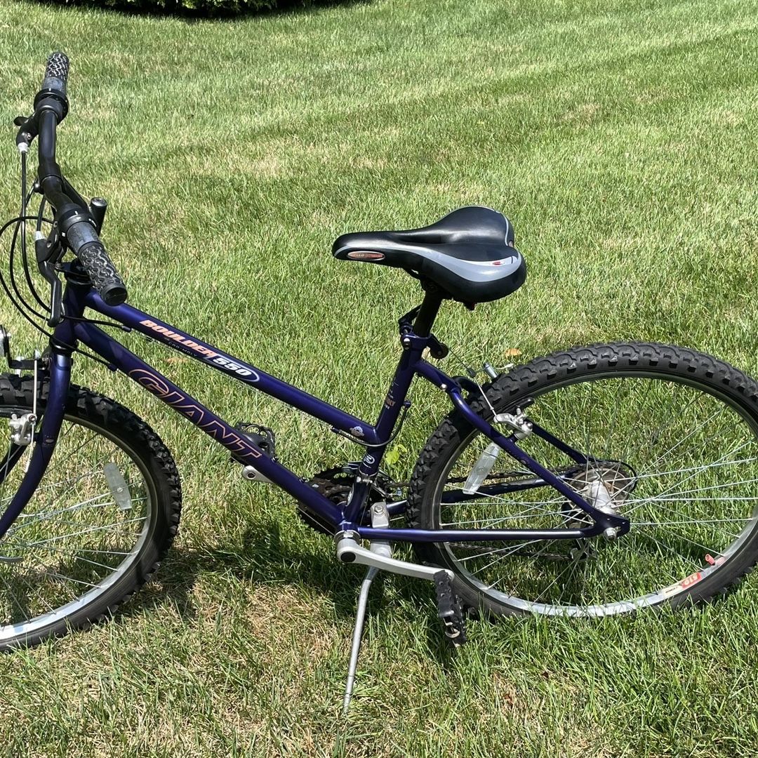 wonderfold w4 stroller wagon Elite Wagon, Steel Frame, 4 Seater, Gray Little brother jogger set point harness and sandal Color:Skull Orange Electric Bike Bmx Bike