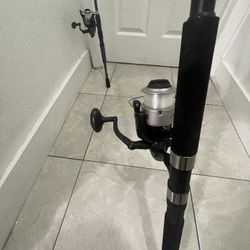 Salt Water Fishing Rods