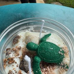 Ocean Serenity Turtle Candle