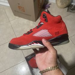 Air Jordan 5 Ragin Bull 