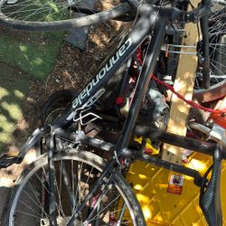 Cannondale Bike 
