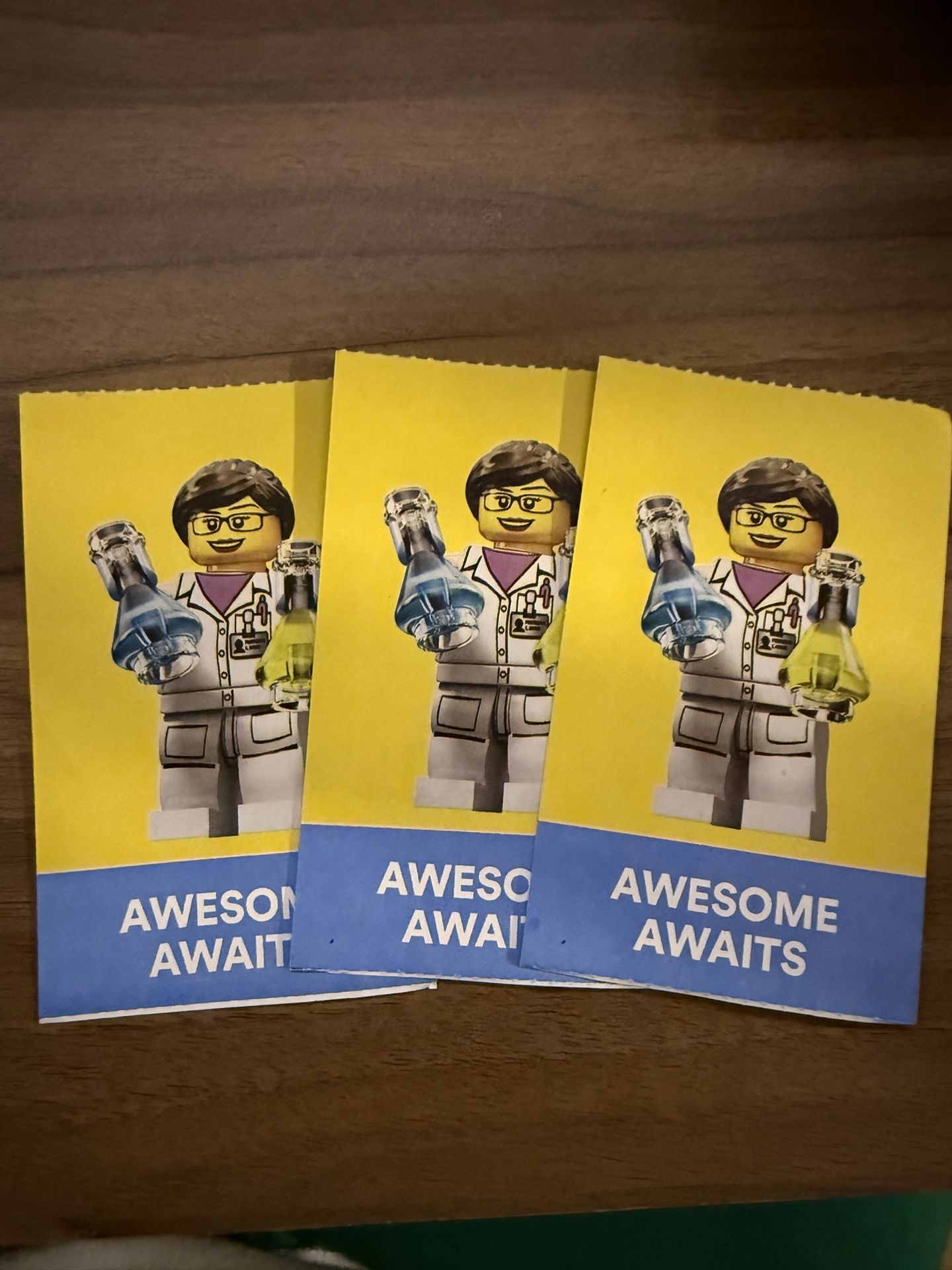 3- 2day Legoland Park Hopper Tickets