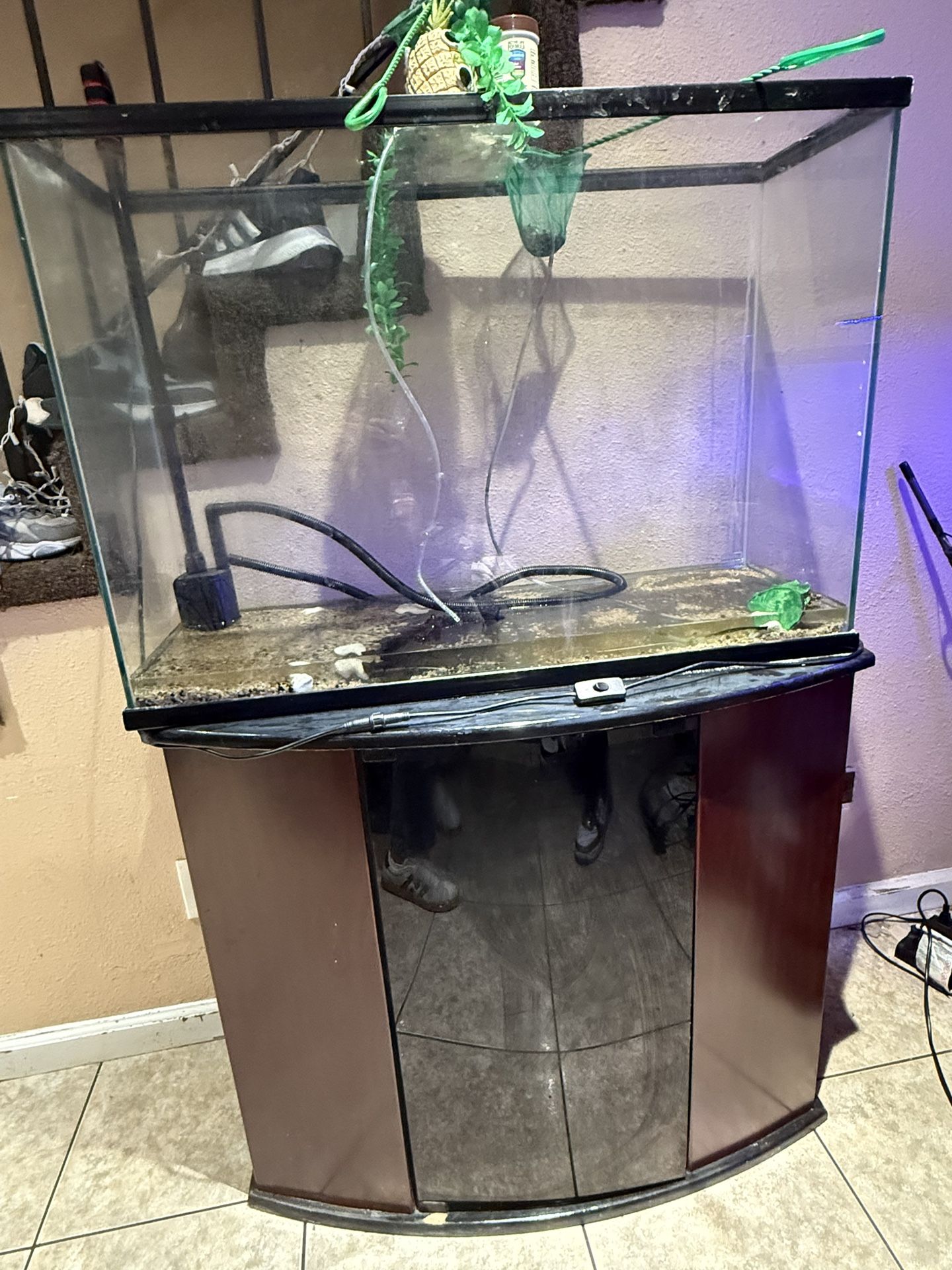 Fish Tank With Stand about 55-60 gallons