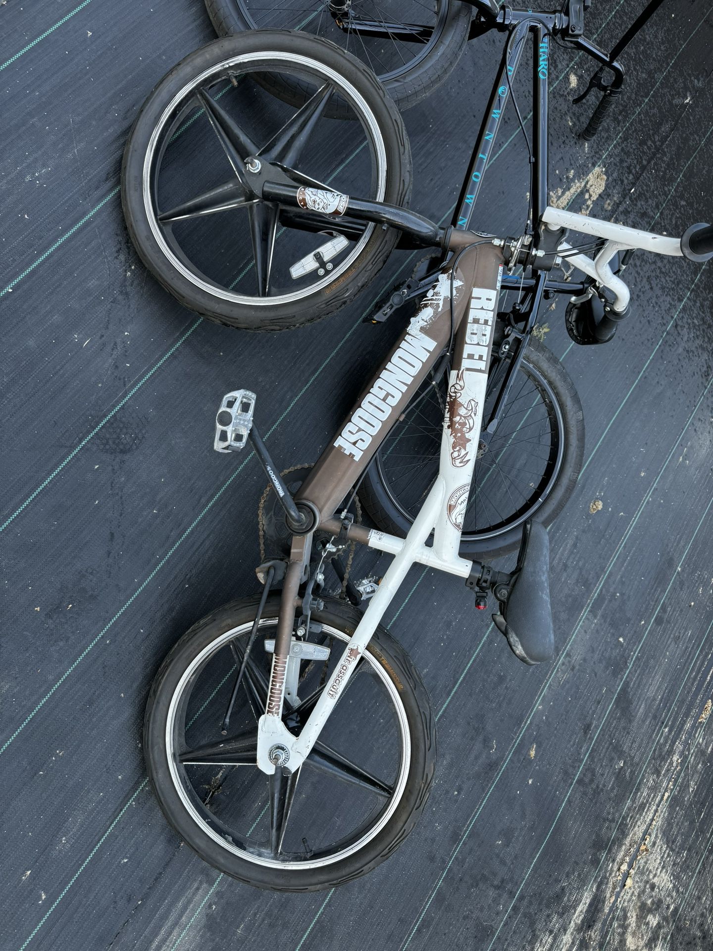 Mongoose Bike $120