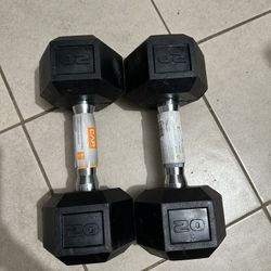 20 Lb Dumbbells 