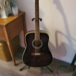 Acoustic / electric guitar