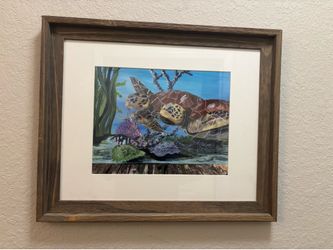 Frames coastal wall decor