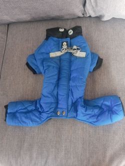Winter coat