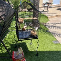 Brand New Bird Cage