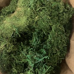 Green Moss (dried and dyed)