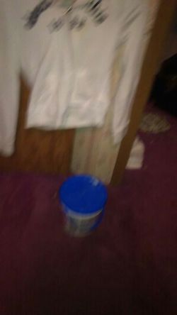 Abercrombie and fitch