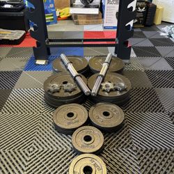 200 Lbs Free Weight Dumbbell Set With Rack