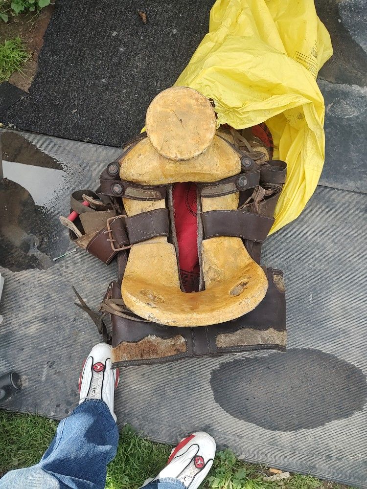 horse saddle