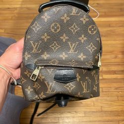 Louis Vuitton Monogram Canvas Palm Springs Mini Backpack 