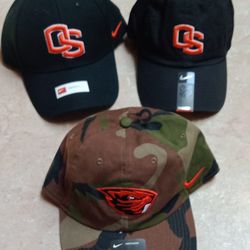 3 Nike Hats Beaver 🦫