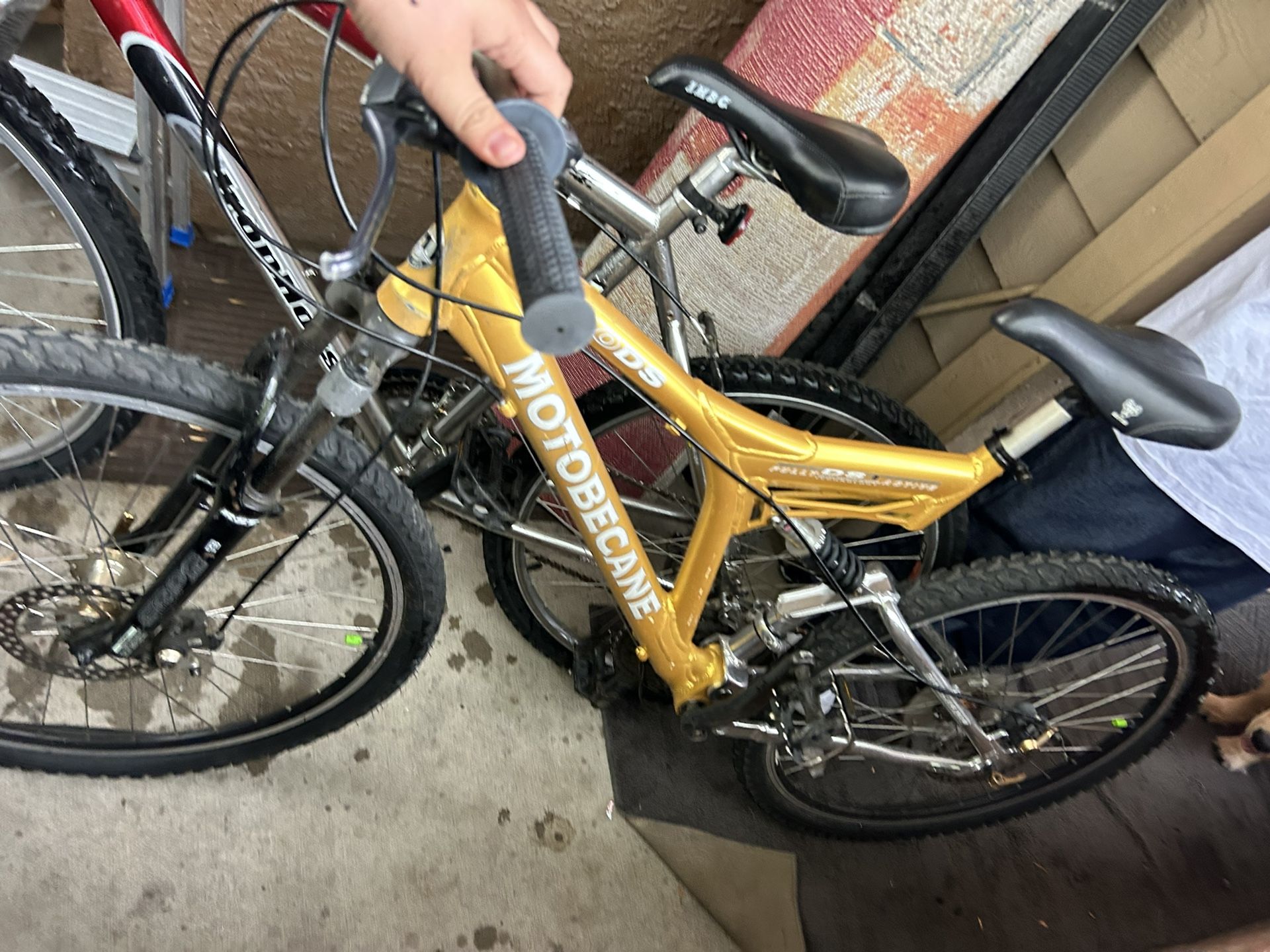 Bike